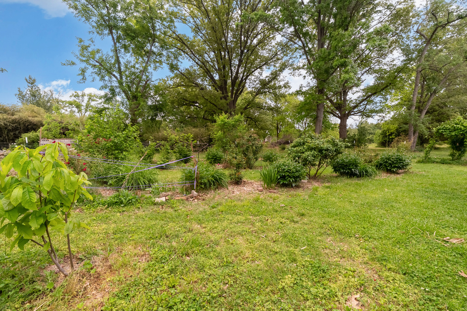 1215 Trolley Road Eldorado, IL 62930 - Photo 35 of 39