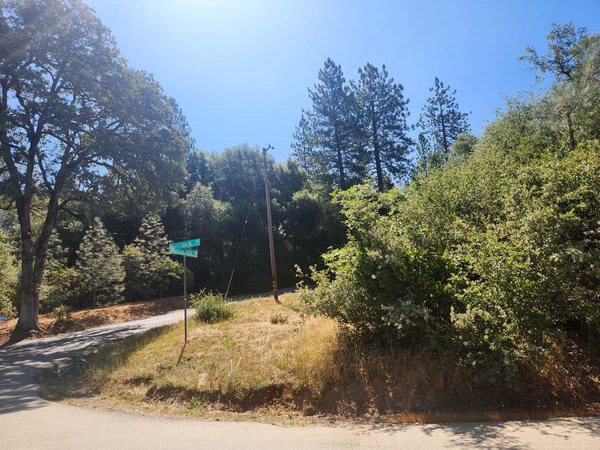 a view of a yard covered with snow in front of house
