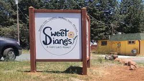 47 Texas Hill Road Oregon House, CA 95962 - Photo 17 of 22 a sign on the side of the road