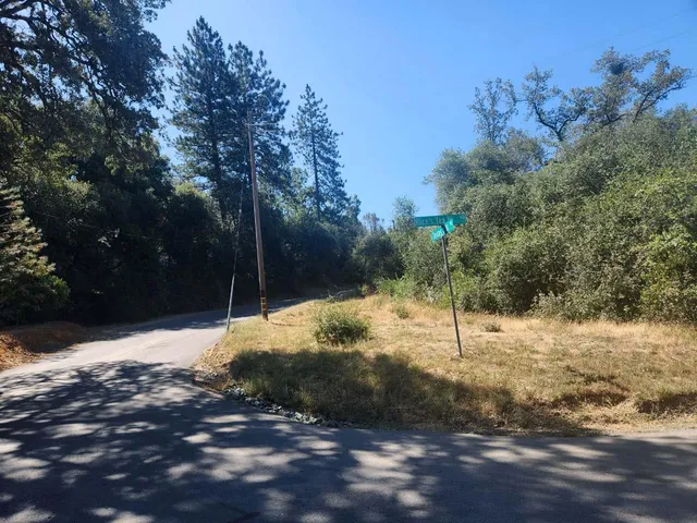 a view of a yard with a tree