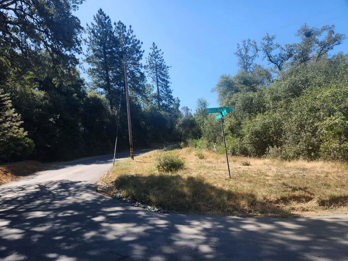 47 Texas Hill Road Oregon House, CA 95962 - Photo 4 of 22 a view of a yard with a tree