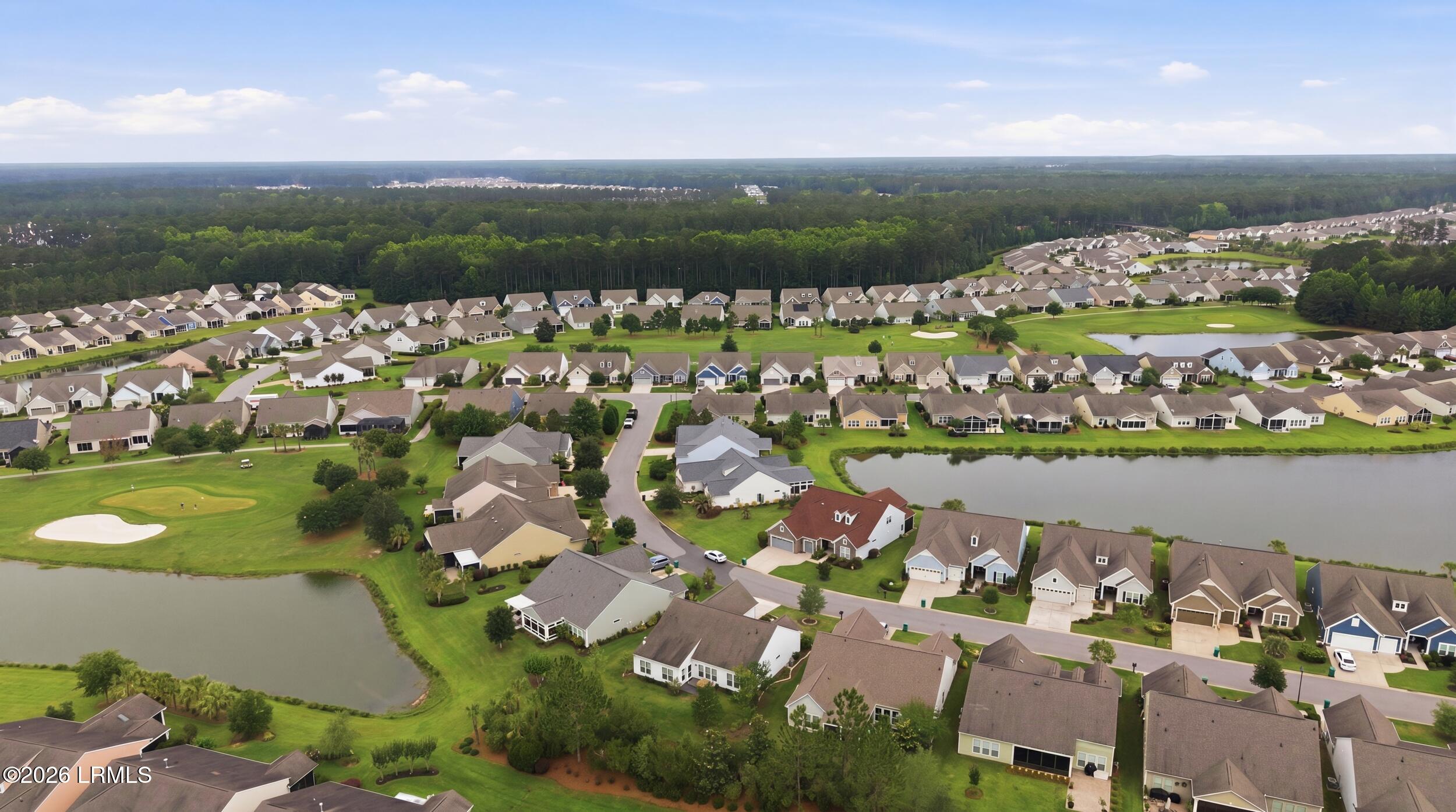 361 Fernleaf Lane Bluffton, SC 29909 - Photo 35 of 47 58_041_dji_20260528124903_0199_d_grass_1