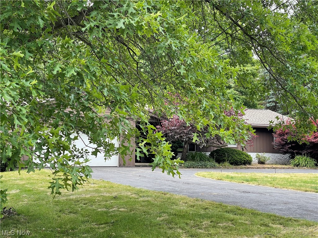15220 Hatfield Road Rittman, OH 44270 - Photo 20 of 23 A poetic view from the side yard.