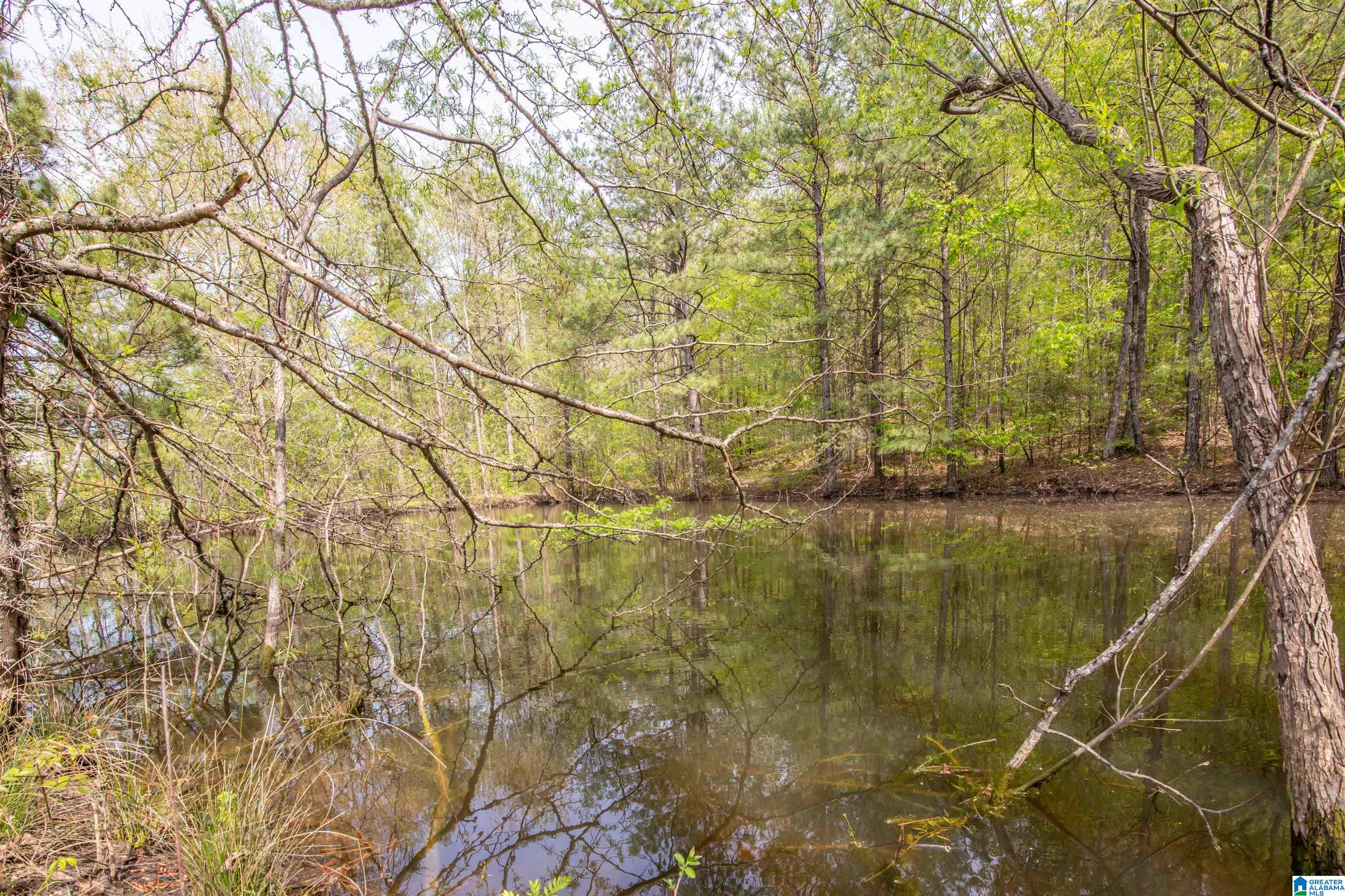 356 Beaver Ridge Circle Ashville, AL 35953 - Photo 37 of 40