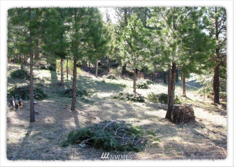 2 Pine Chee Road Oroville, WA 98844 - Photo 15 of 24