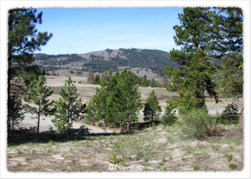 2 Pine Chee Road Oroville, WA 98844 - Photo 16 of 24