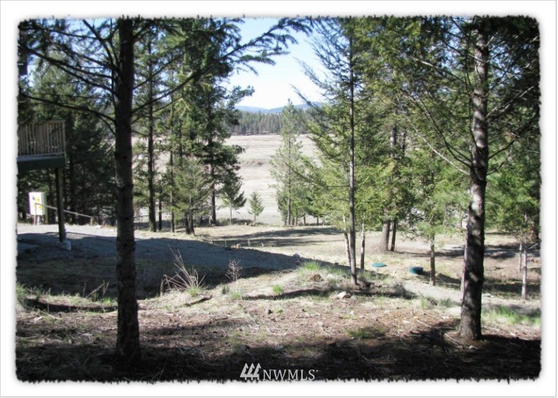 2 Pine Chee Road Oroville, WA 98844 - Photo 17 of 24