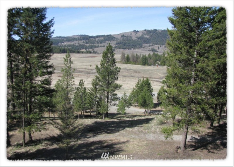 2 Pine Chee Road Oroville, WA 98844 - Photo 18 of 24