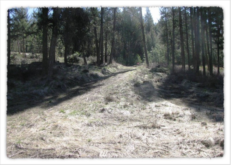 2 Pine Chee Road Oroville, WA 98844 - Photo 19 of 24