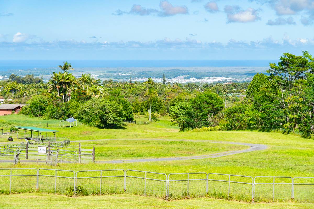 370 Akolea Road Hilo, HI 96720 - Photo 3 of 29 a view of an ocean and a yard