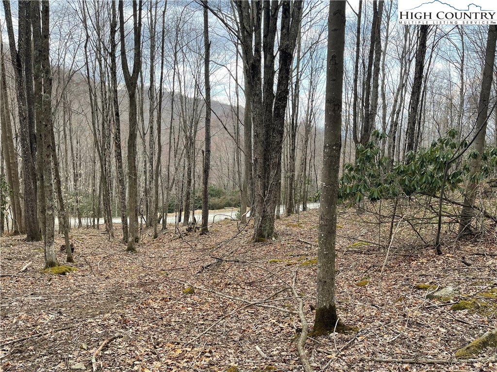 100 Fireweed Lane Beech Mountain, NC 28604 - Photo 1 of 9 a view of outdoor space with deck