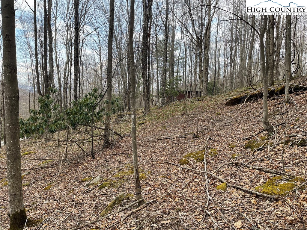 100 Fireweed Lane Beech Mountain, NC 28604 - Photo 2 of 9 a view of backyard with green space