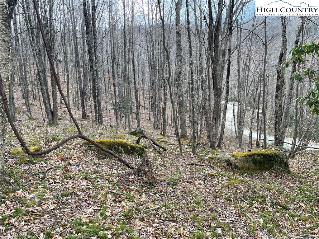 100 Fireweed Lane Beech Mountain, NC 28604 - Photo 3 of 9 a backyard of a house with table and chairs
