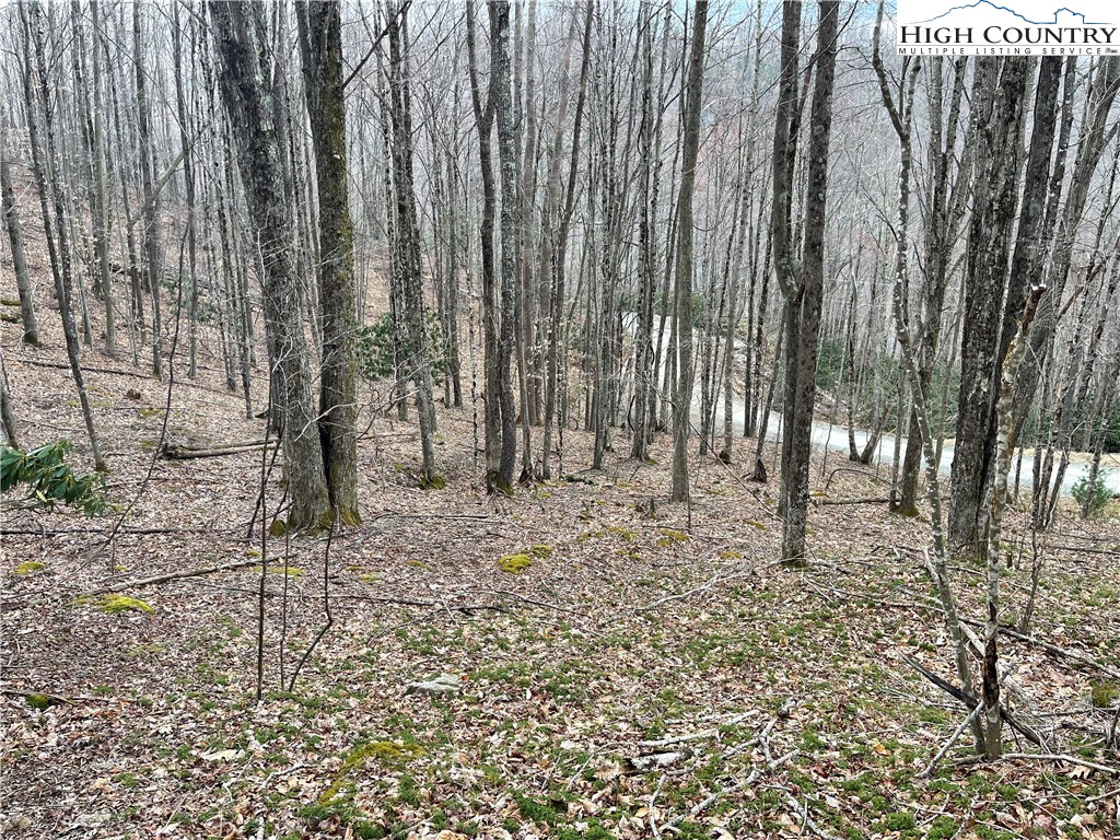 100 Fireweed Lane Beech Mountain, NC 28604 - Photo 4 of 9 a view of outdoor space with deck