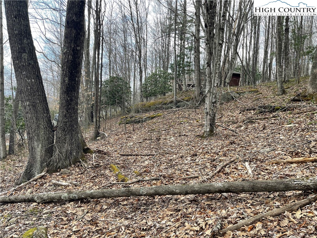 100 Fireweed Lane Beech Mountain, NC 28604 - Photo 5 of 9 a backyard of a house with lots of green space