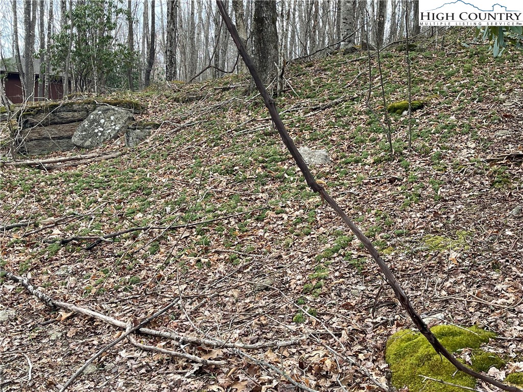 100 Fireweed Lane Beech Mountain, NC 28604 - Photo 6 of 9