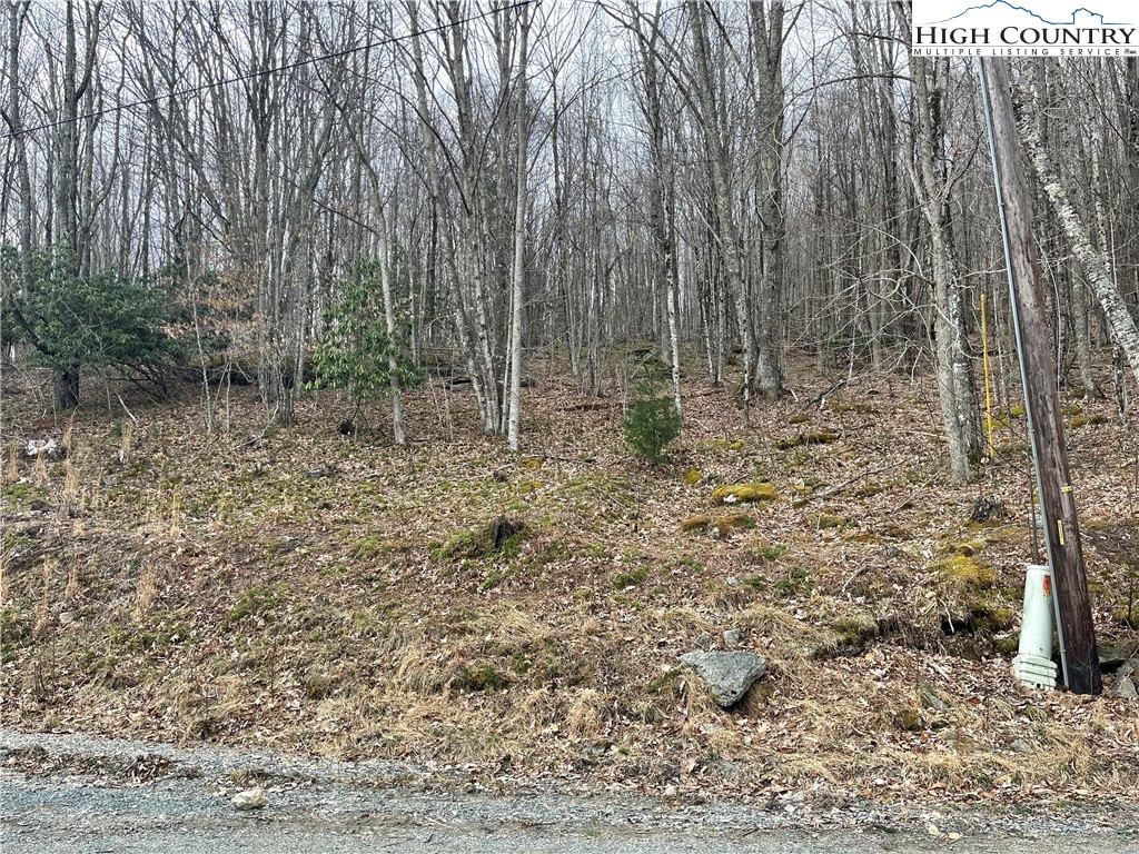 100 Fireweed Lane Beech Mountain, NC 28604 - Photo 8 of 9 a view of a yard with trees