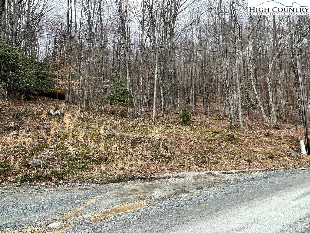 100 Fireweed Lane Beech Mountain, NC 28604 - Photo 9 of 9