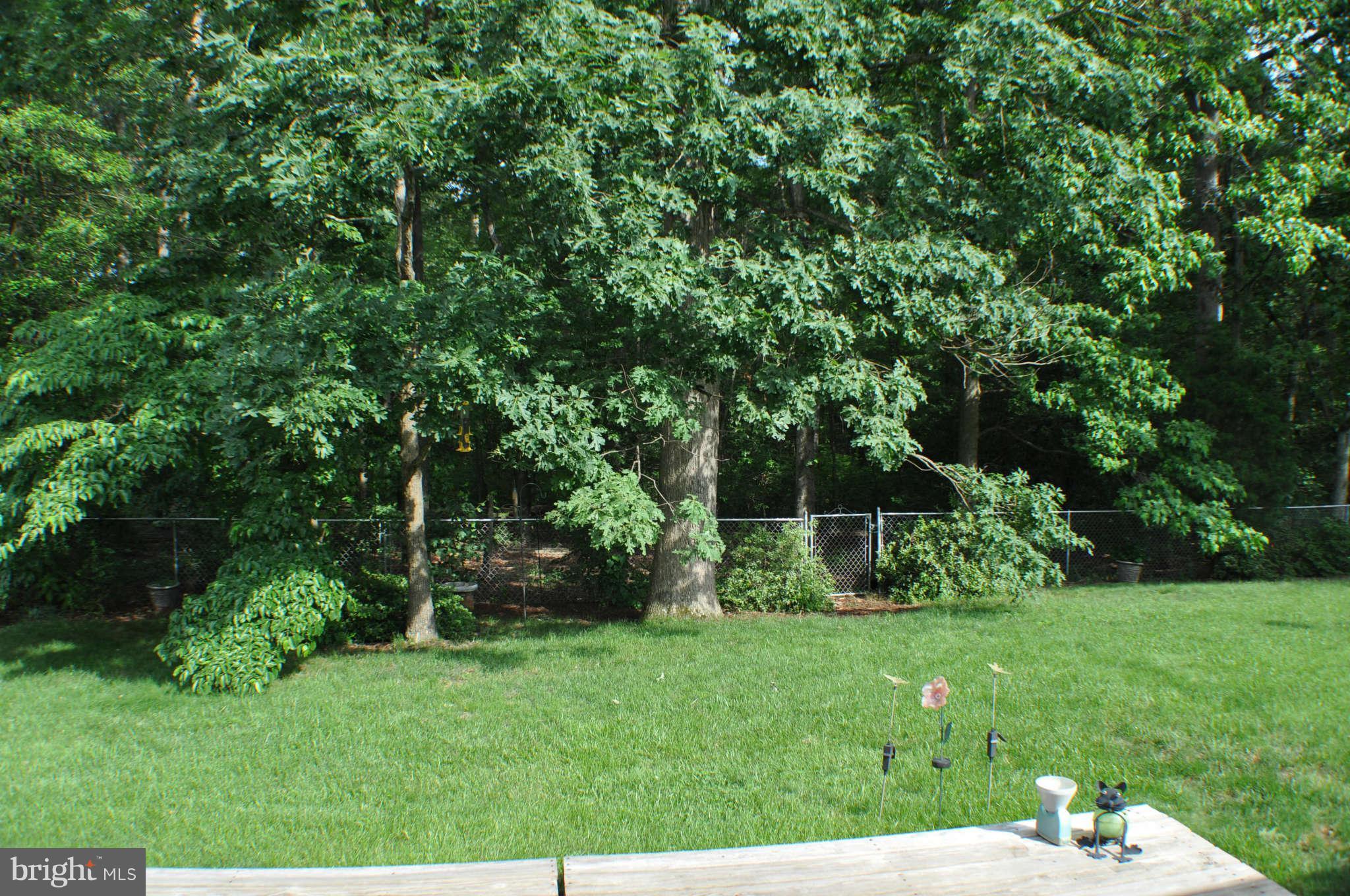 6325 Josephine Road Waldorf, MD 20601 - Photo 24 of 30 Exterior (Rear)