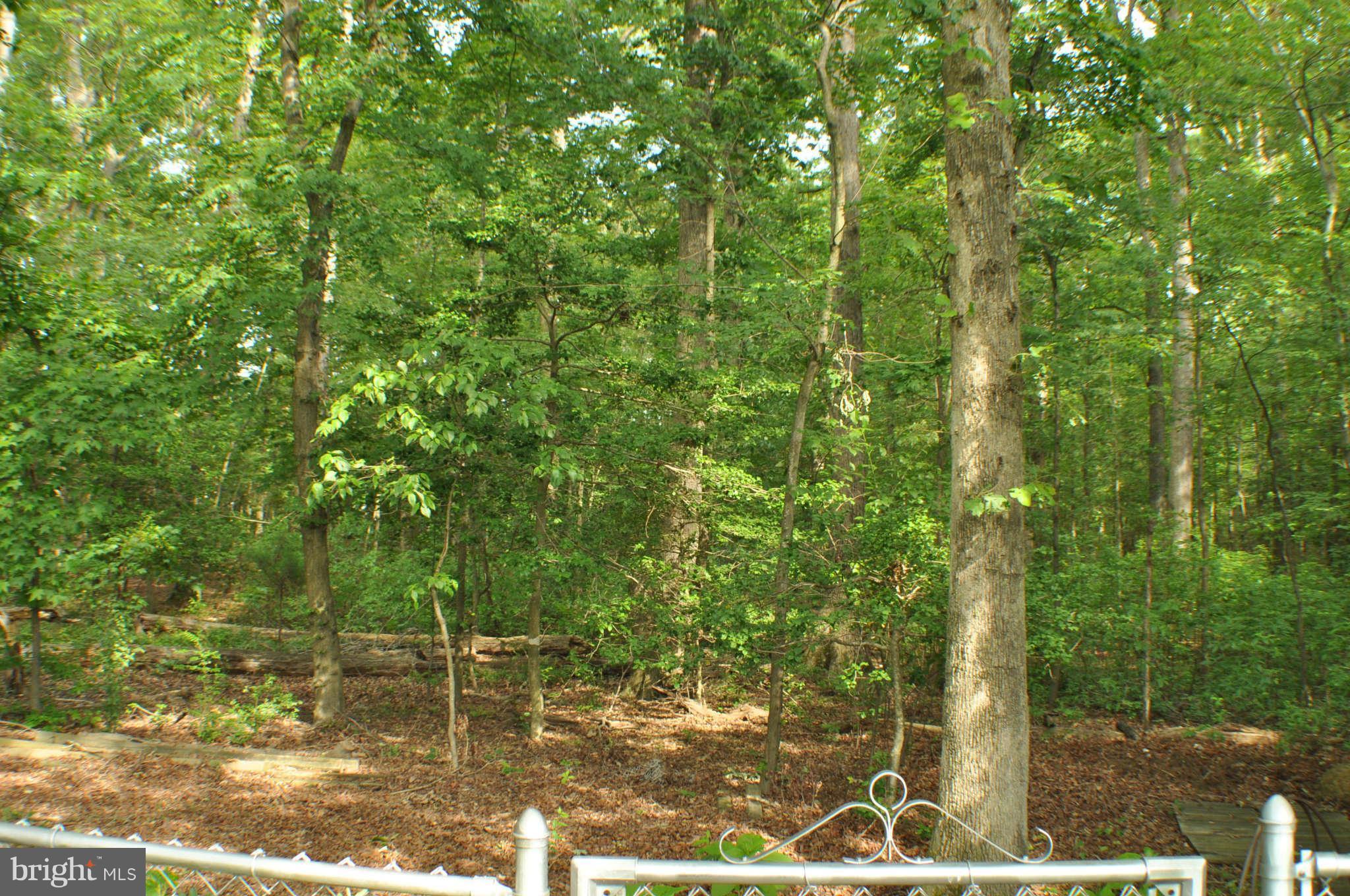 6325 Josephine Road Waldorf, MD 20601 - Photo 27 of 30 Exterior (Rear)