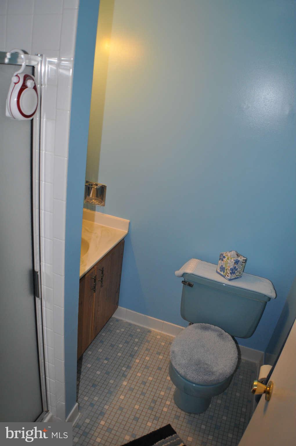 6325 Josephine Road Waldorf, MD 20601 - Photo 10 of 30 Bath (Master)