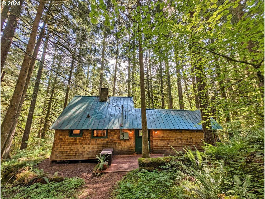 28018 Still Creek Road Rhododendron, OR 97049 - Photo 33 of 36 a view of outdoor space and deck