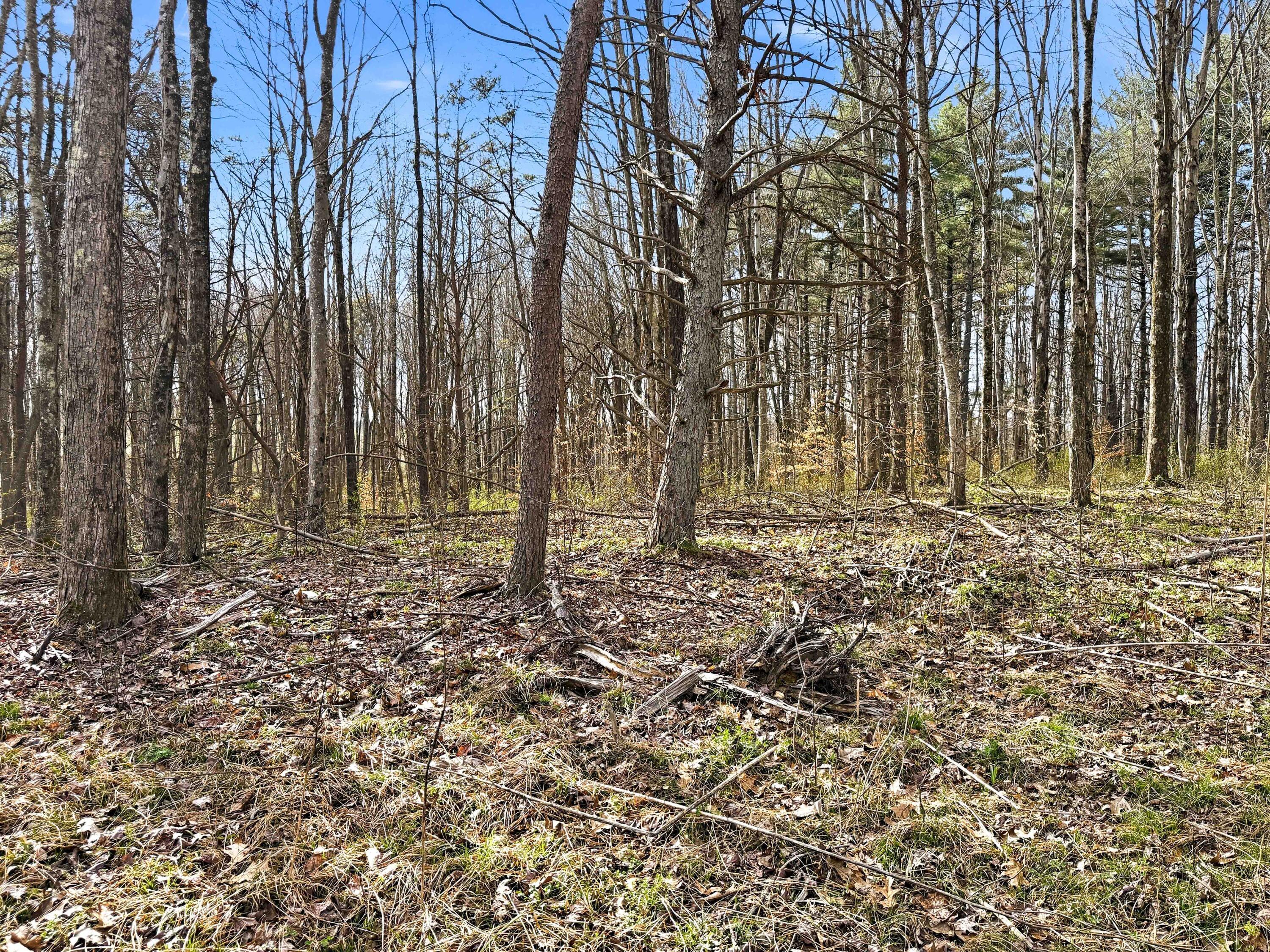 22470 Griffith Road Logan, OH 43138 - Photo 28 of 29 Griffith Rd-28
