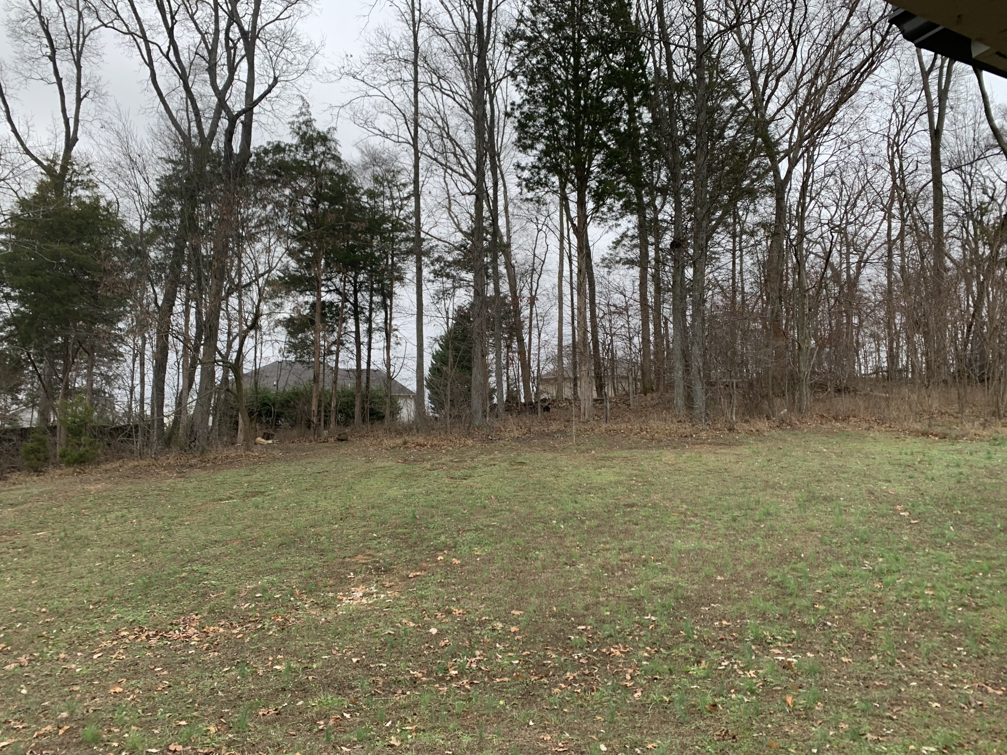 31 Remington Road Lebanon, TN 37090 - Photo 50 of 50 a backyard of a house with lots of green space