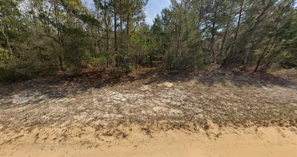 O Farrell Avenue Interlachen, FL 32148 - Photo 3 of 5