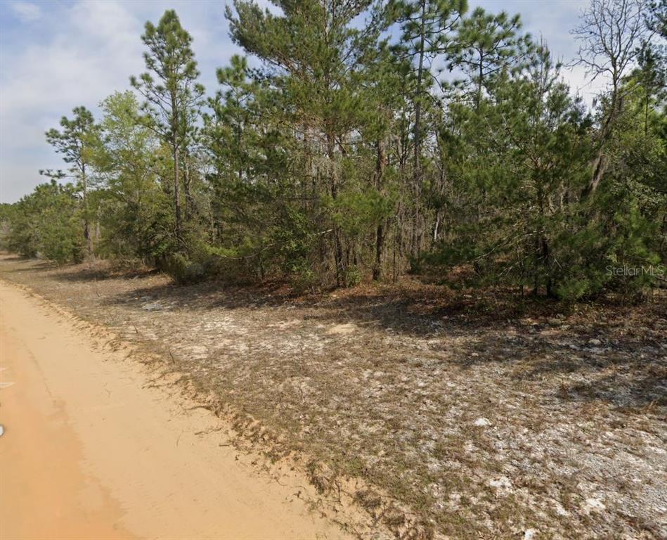 O Farrell Avenue Interlachen, FL 32148 - Photo 4 of 5