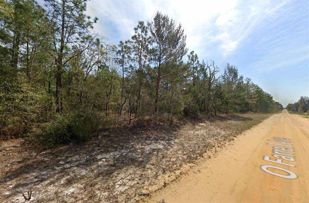 O Farrell Avenue Interlachen, FL 32148 - Photo 5 of 5