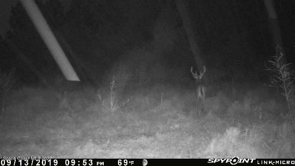 D D Johnson Mims, FL 32754 - Photo 19 of 25 IMG_4495
