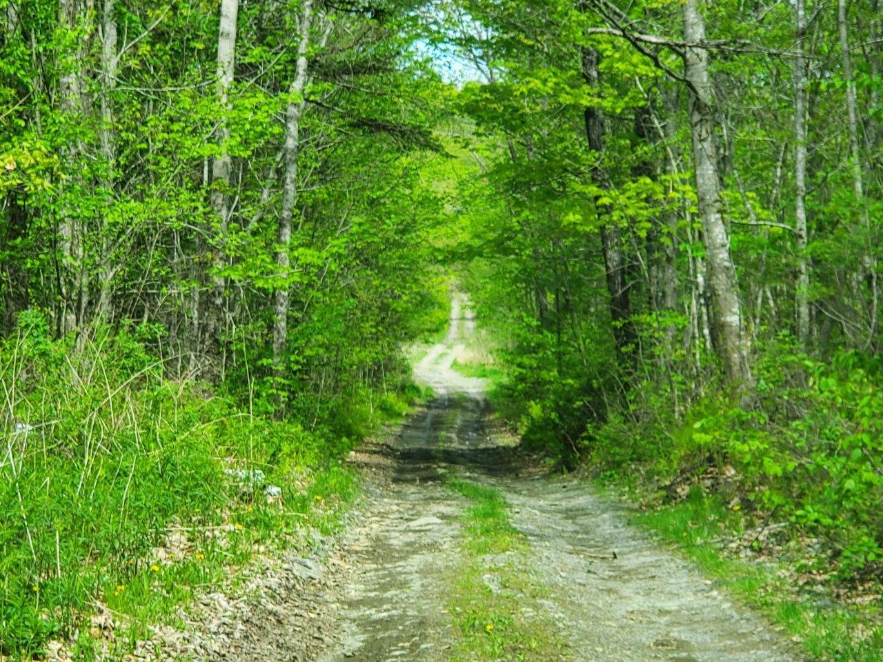 Lot 6 Pleasant Pond Road Milo, ME 04463 - Photo 28 of 38 20260523_143204 adj