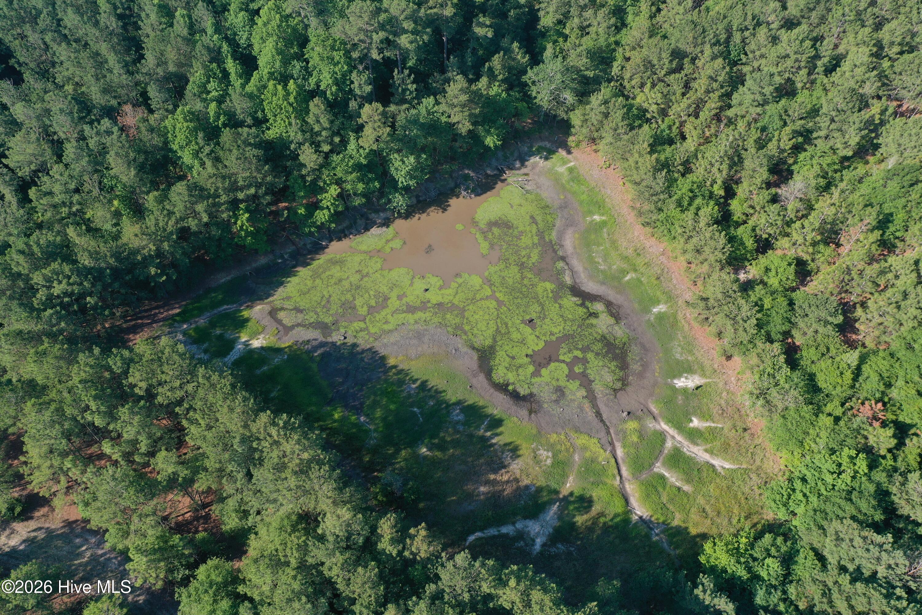 Tbd Jones Spring Church Road Ellerbe, NC 28338 - Photo 21 of 29