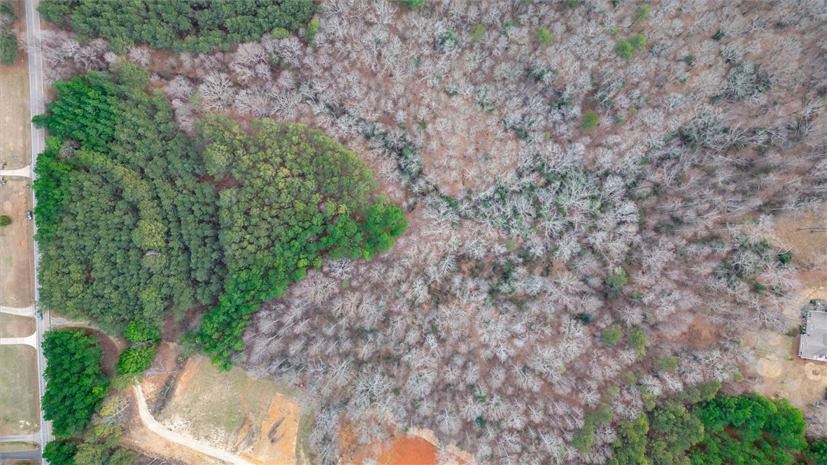 Lot 7 Griffin Mill Road Pickens, SC 29671 - Photo 4 of 12