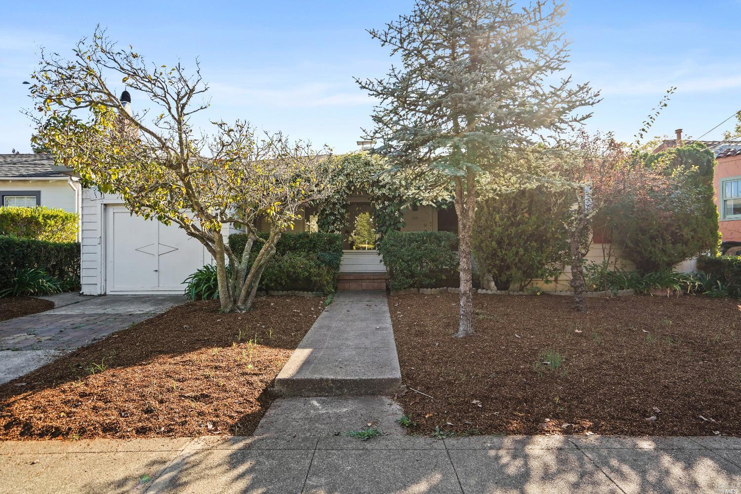 a view of a backyard with large trees
