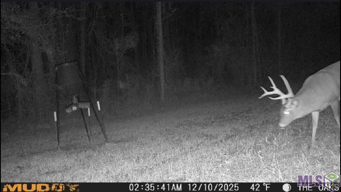 Tbd Jerusalem Road Liberty, MS 39645 - Photo 41 of 60 Gallery Image 41