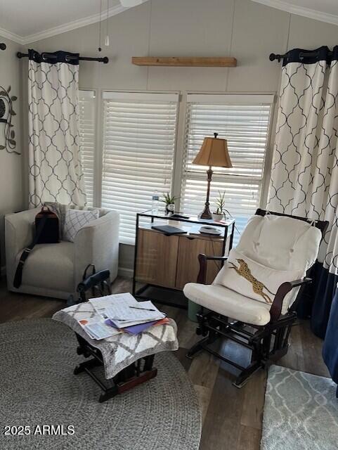 702 South Meridian Road, Unit 52 Apache Junction, AZ 85120 - Photo 2 of 12 Livingroom