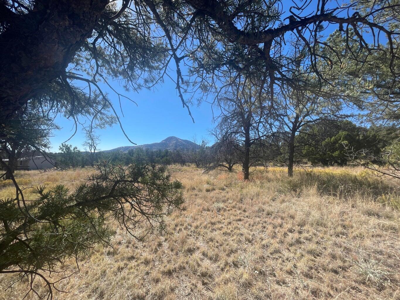 111 Homestead Trail Datil, NM 87821 - Photo 31 of 37 Gallery Image 31