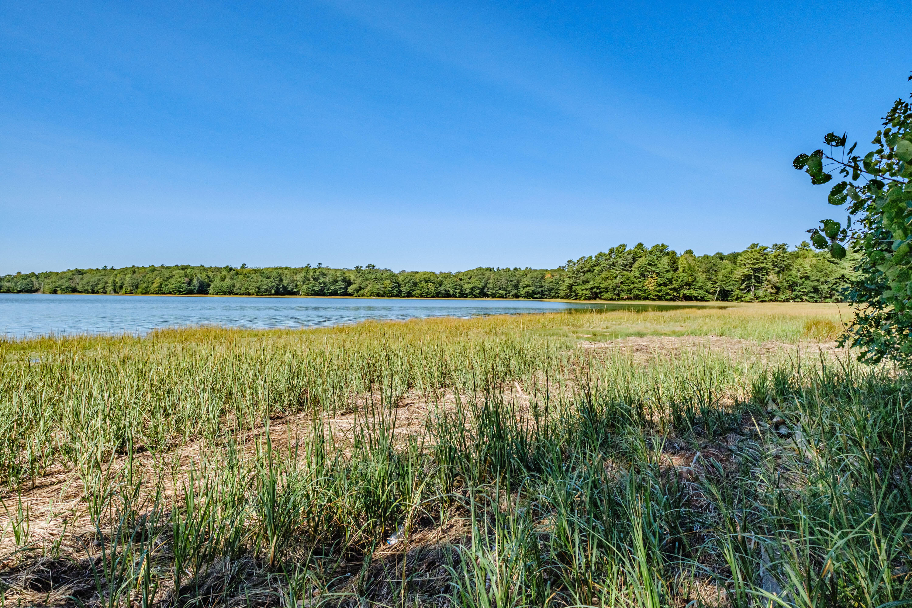 644 Harpswell Road Brunswick, ME 04011 - Photo 75 of 90 20210920mvht-52123