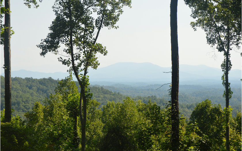 23 Cohutta Ranch Road Blue Ridge, GA 30513 - Photo 1 of 1 Main View