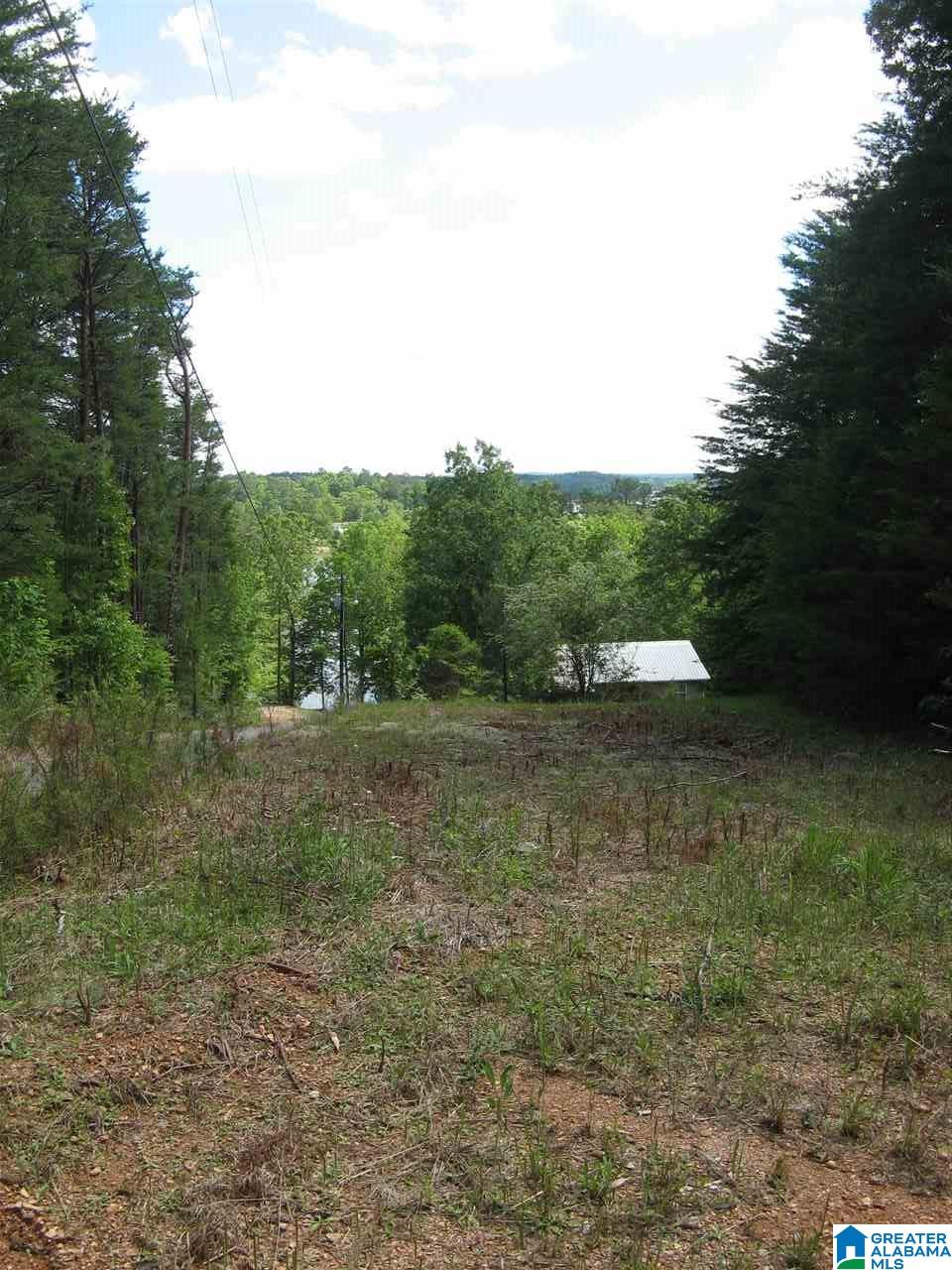 126 Jane Drive Sylacauga, AL 35151 - Photo 37 of 39