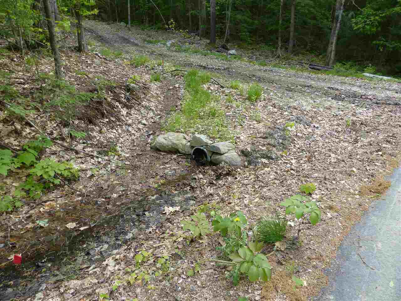 R1-65 Sandwich Slopes Road Sandwich, NH 03227 - Photo 3 of 40