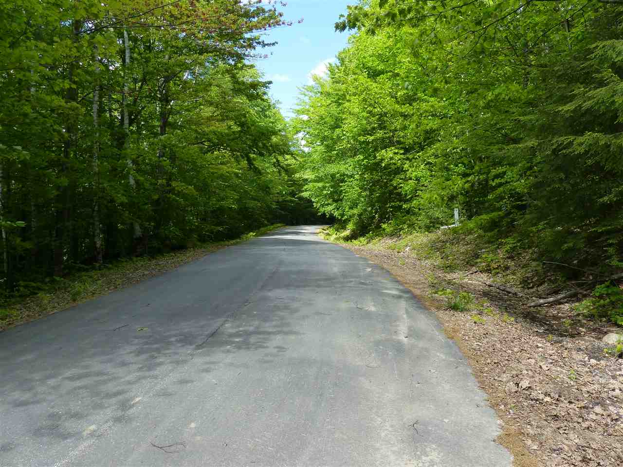 R1-65 Sandwich Slopes Road Sandwich, NH 03227 - Photo 5 of 40