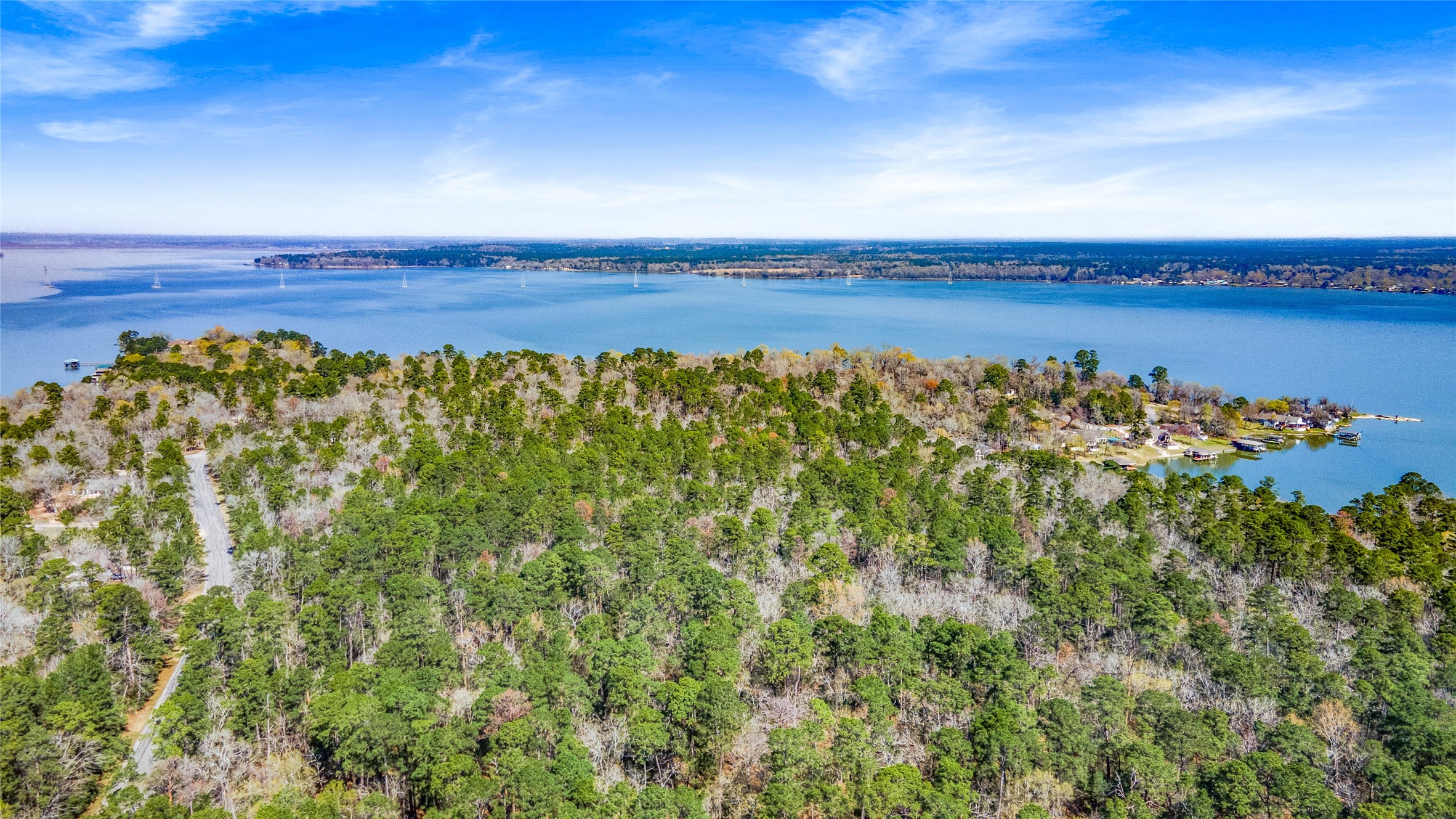 Lot 4 Bay Hill Road Point Blank, TX 77364 - Photo 6 of 8