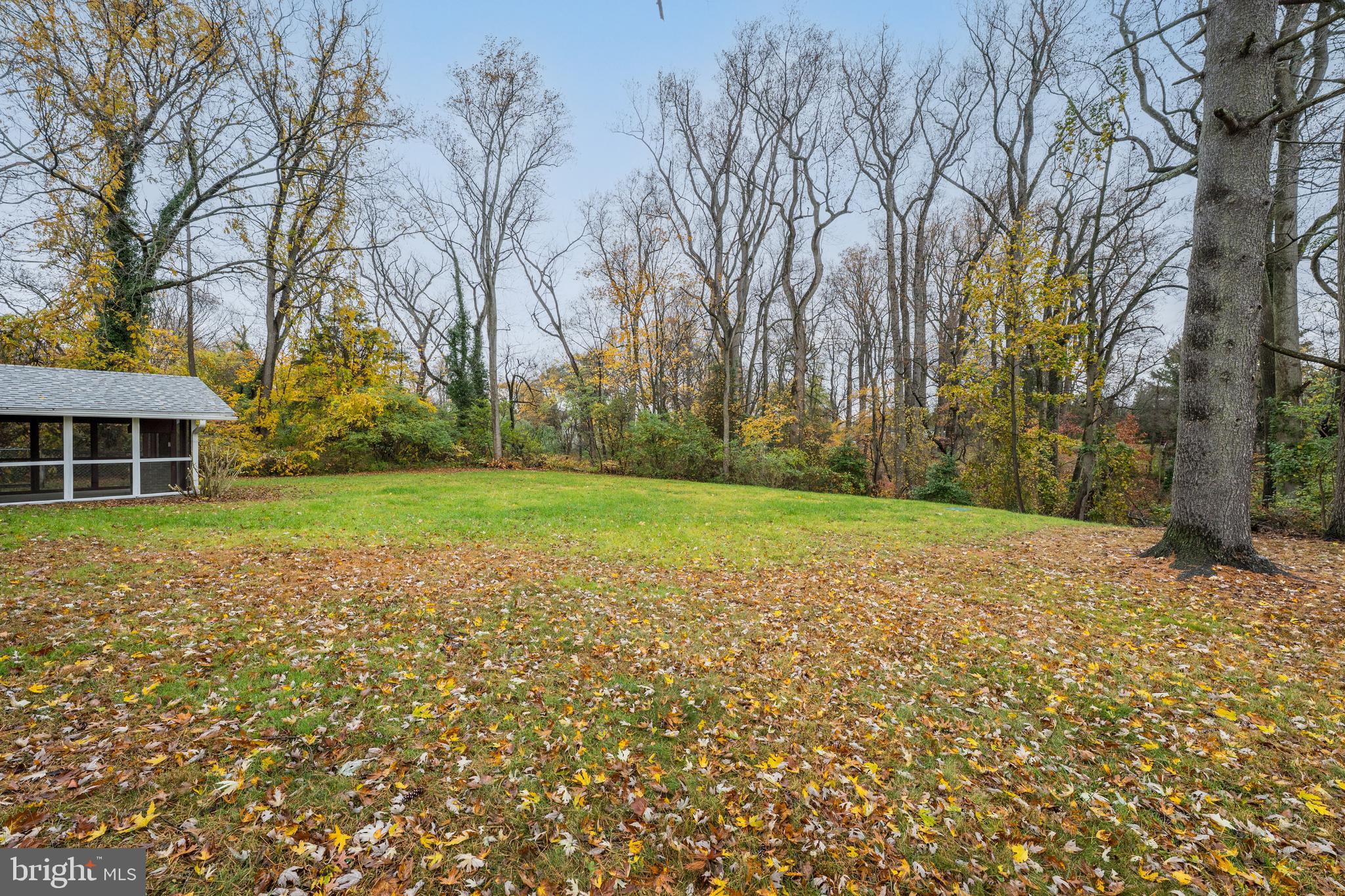 107 Hartford Road Mount Laurel, NJ 08054 - Photo 3 of 29 a view of a yard with plants and trees