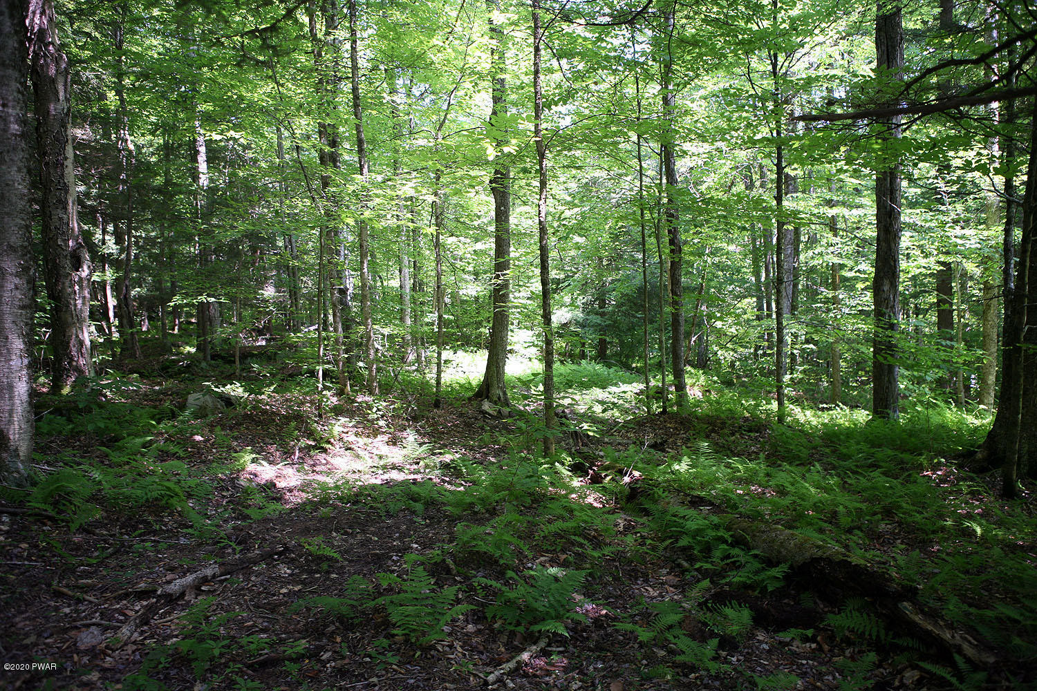 0 Braman Road Equinunk, PA 18417 - Photo 22 of 36