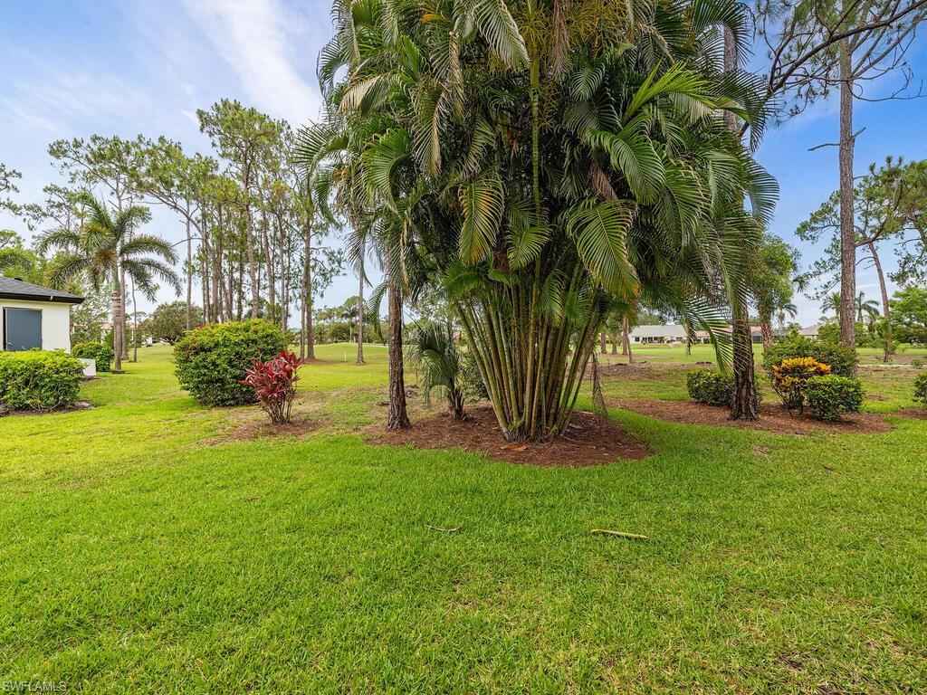 809 Augusta Boulevard, Unit 8092 Naples, FL 34113 - Photo 12 of 12 a view of a park with large trees