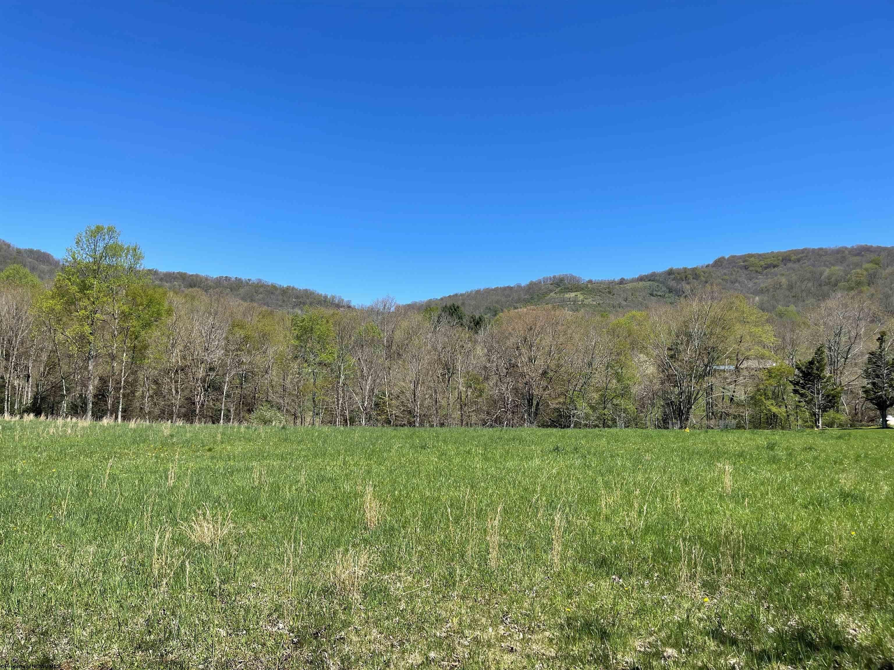 Rr Rr Laneville Dryfork, WV 26263 - Photo 5 of 6 Gallery Image 5