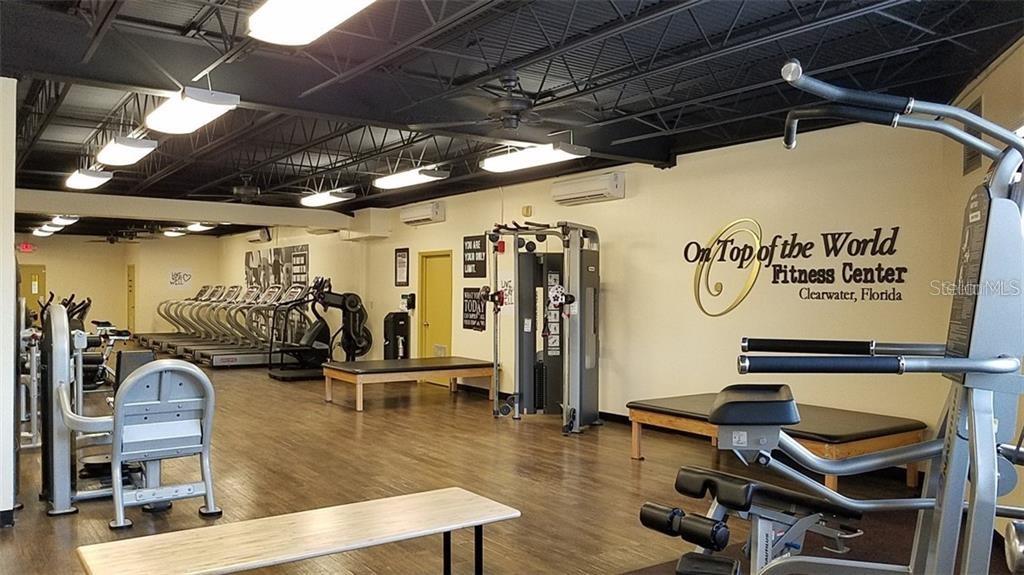 2386 Sumatran Way, Unit 14 Clearwater, FL 33763 - Photo 45 of 71 a view of a room with gym equipment